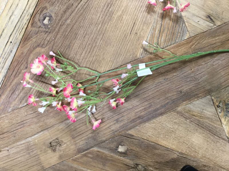 Mr Plant  Blomst