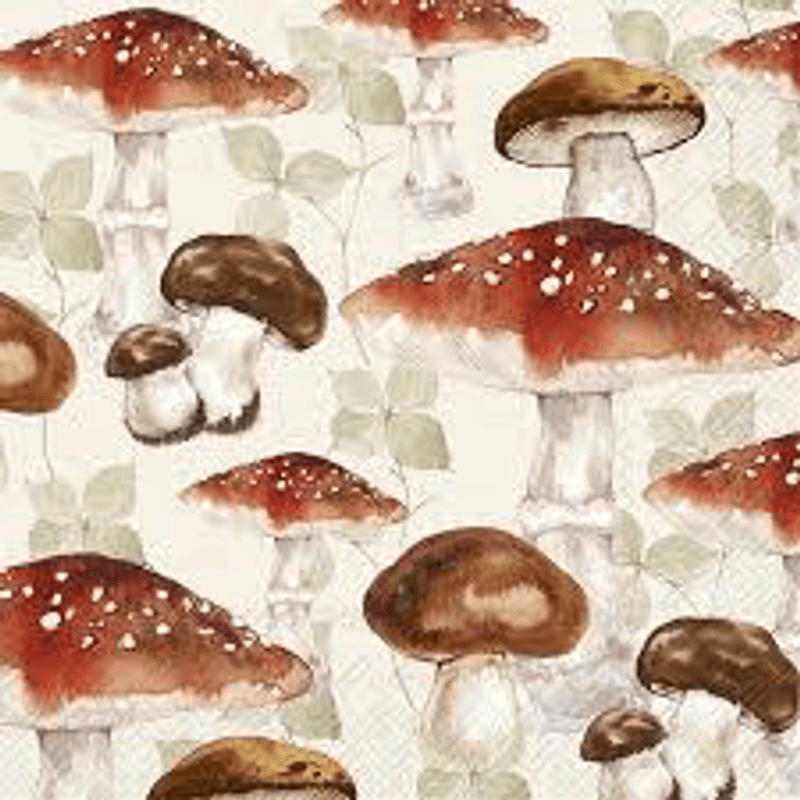 Mashroom Allover cream lunch